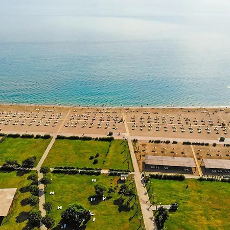 فيلة Paradise Town Abel