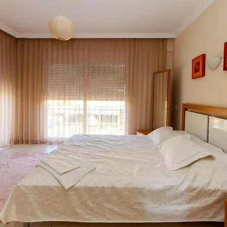 Paradise Town Abel *