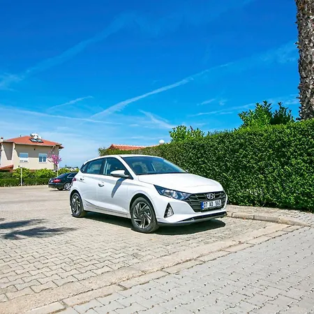 Paradise Town Abel * 贝莱克