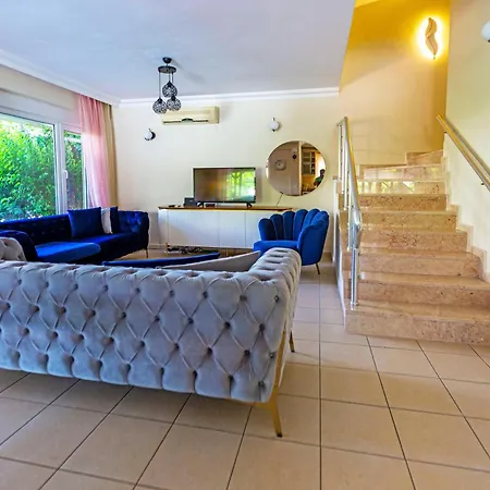 Paradise Town Abel * 贝莱克