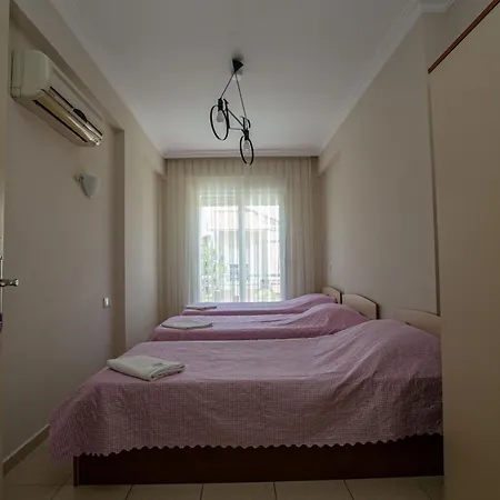 Paradise Town Abel * 贝莱克