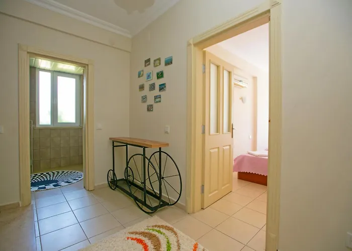 Paradise Town Abel *