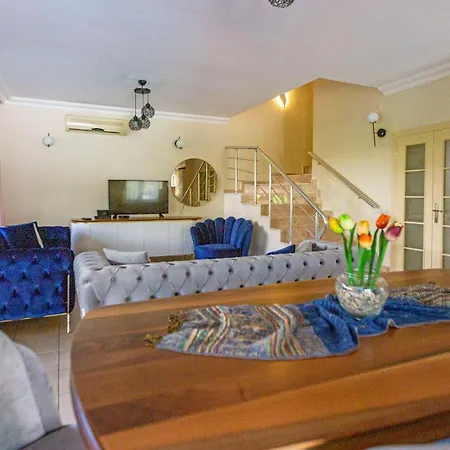 Paradise Town Abel Vila *