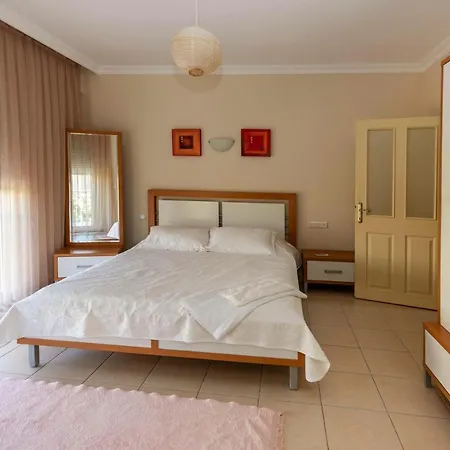 Paradise Town Abel *