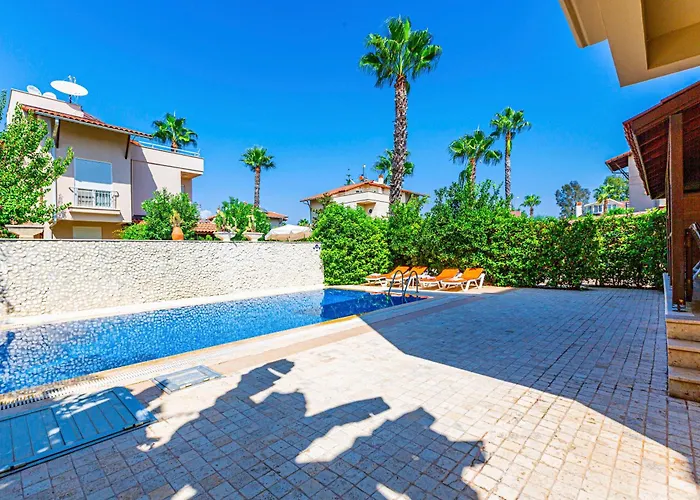 Paradise Town Abel *