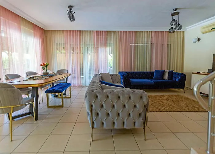 Paradise Town Abel באלאק