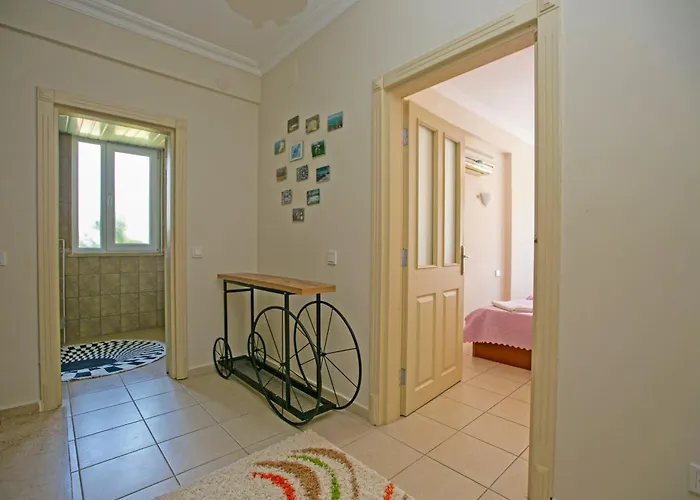 Paradise Town Abel באלאק